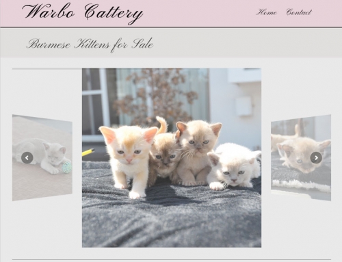 Warbo Cattery